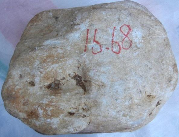 【翡翠】都看不上的原石，小伙自信买下，切开一看瞬间瞪眼了！