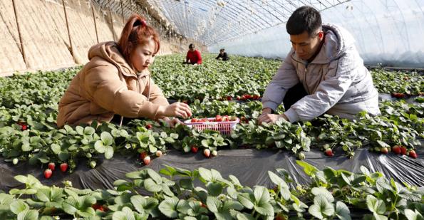 「支付宝」马云成了“预言家”?透露未来机会在农村,聪明人已经行动