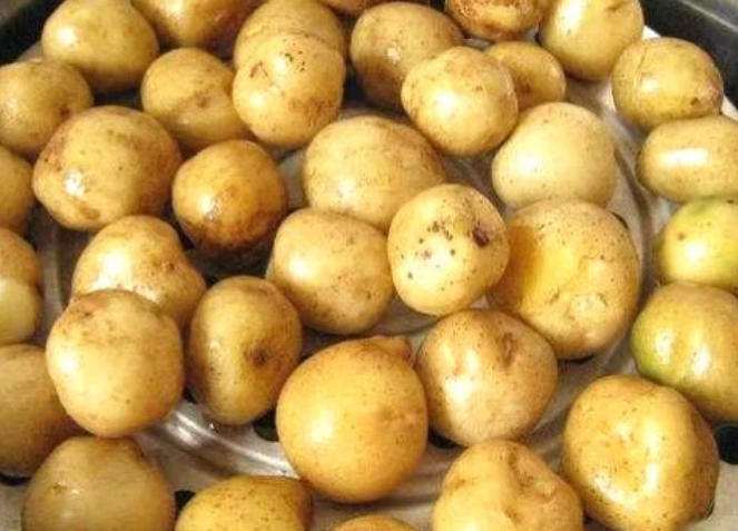 土豆：土豆和“它”天生一对！吃了补血化瘀，养胃促消化，让身体隐疾自己溜走！