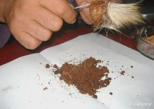 片仔癀|片仔癀:“药中茅台”不是茅台