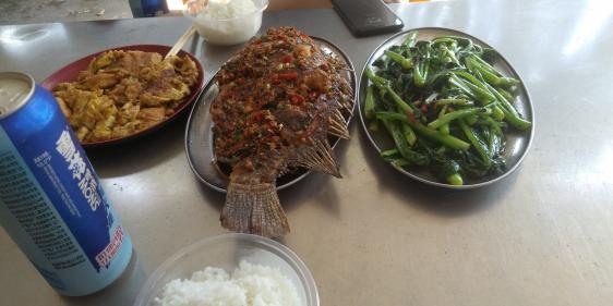 「鲫鱼」别人空军，而我爆护！用上本汀爆草竿，不管多大罗非鱼都十拿九稳