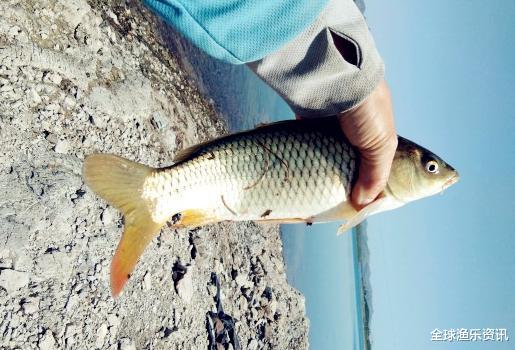 ：夏季野钓，选这五个钓点，下竿就有鱼，稳稳提高上钩率