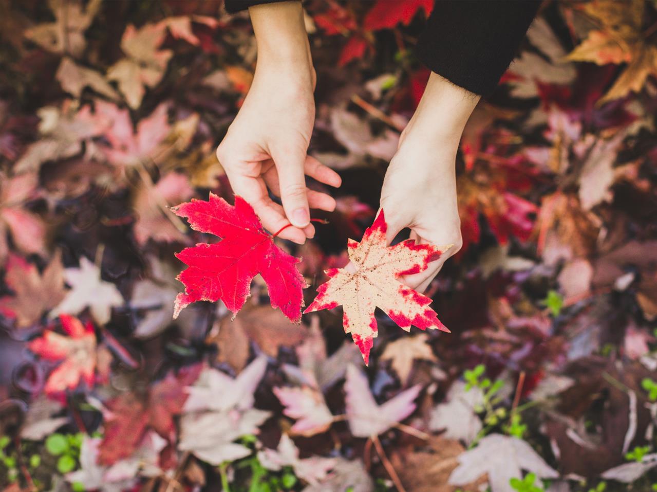 [双鱼座]伪精致的三个星座女生，内心空虚，喜欢追求虚假的美好