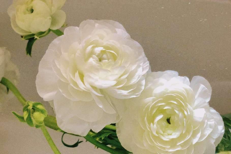 天秤座|实力雄厚，足智多谋，却心慈手软的星座，容易错失成为强者的机会