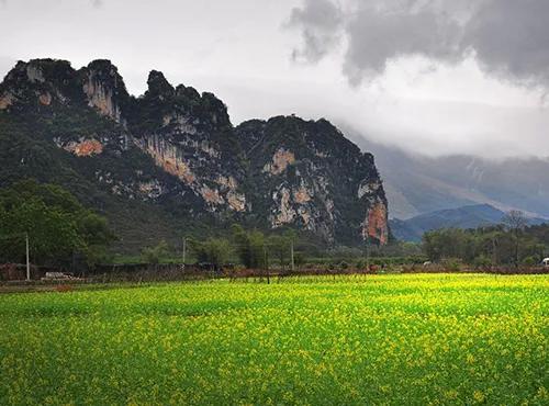 『广东省』五一去哪里玩儿比较好？错开聚集回归大自然
