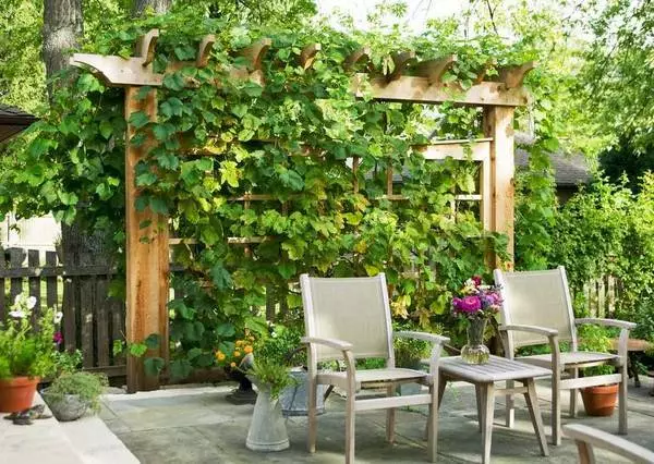 ▲一楼带院子，究竟该怎么设计？