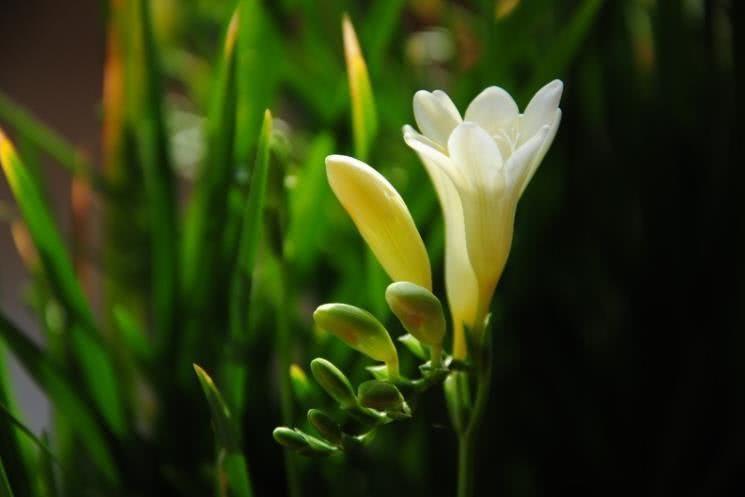 运势|10月开始，运势如虹，财运突飞猛进，大发横财的四大属相