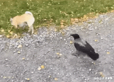 社保|社保有多重要?哈哈哈,缴费窗口直接给免了八万多,整个人都精神了