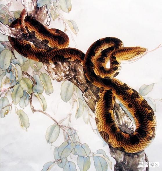 属鸡|有志就有钱,3属相做事情不获全胜,决不收兵,本月事业旗开得胜