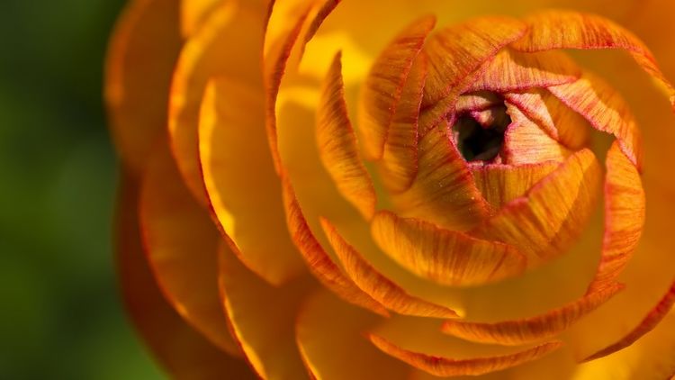 策马|8月起迎财接福、好运频传，财运逆转，事业策马奔腾的4大生肖