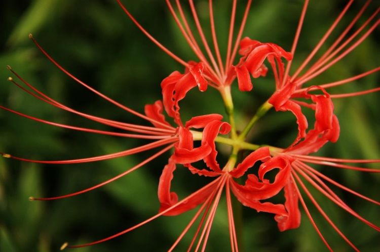 摩羯座|下半年中，桃花入心，痴情不移，不再与真爱失之交臂的四大星座！