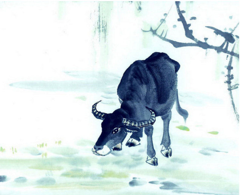 “大金牛”就在今晚老天给你送了份“大礼”！