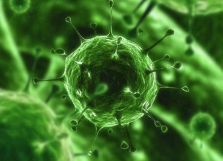 癌细胞|癌细胞：你们只知道我可怕，却不知我有多么努力！