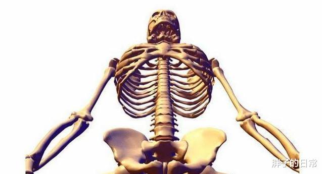 []人类全身骨头共206块，为什么中国人会少2块？听听专家们解释