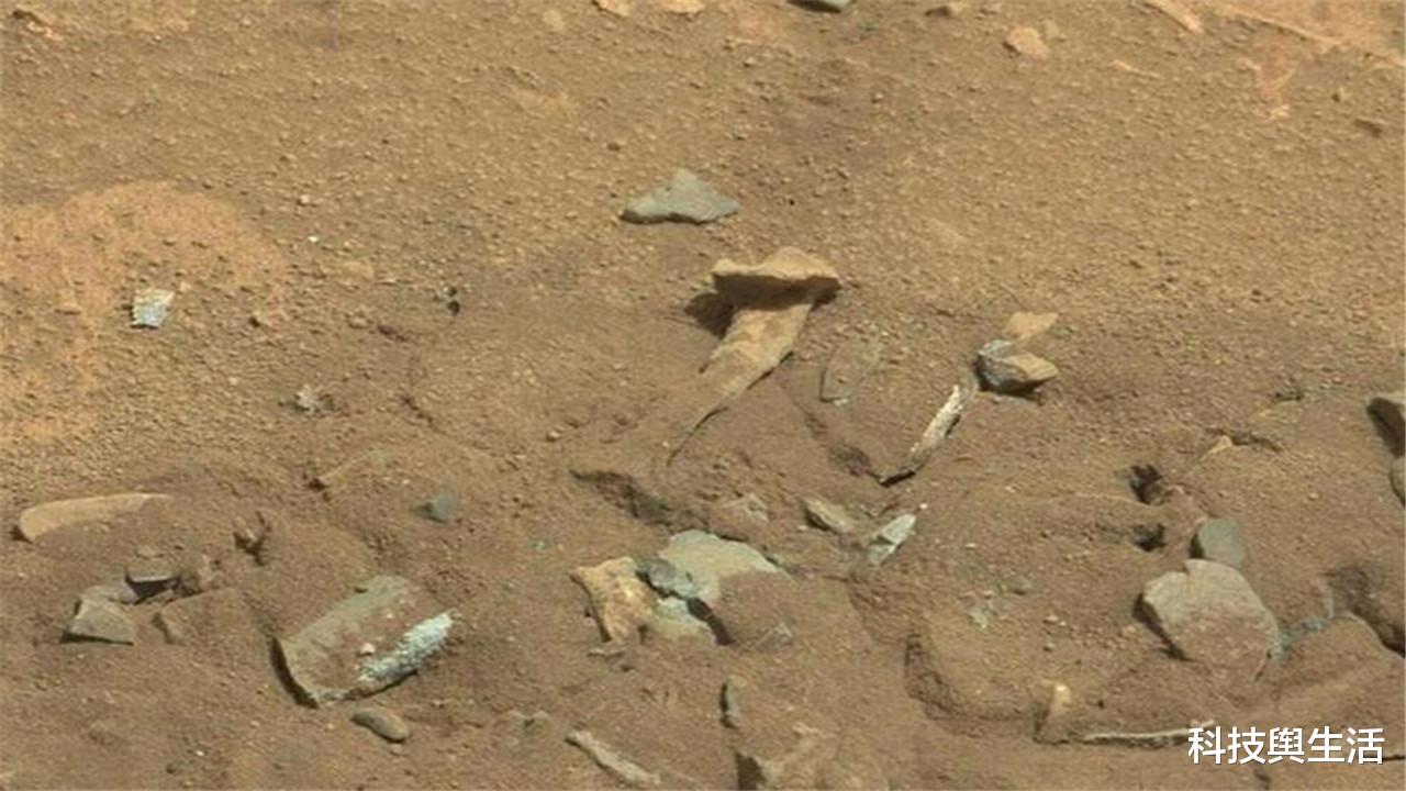 火星探测器|火星上疑似出现生物，刻画的栩栩如生，已超乎人类认知！