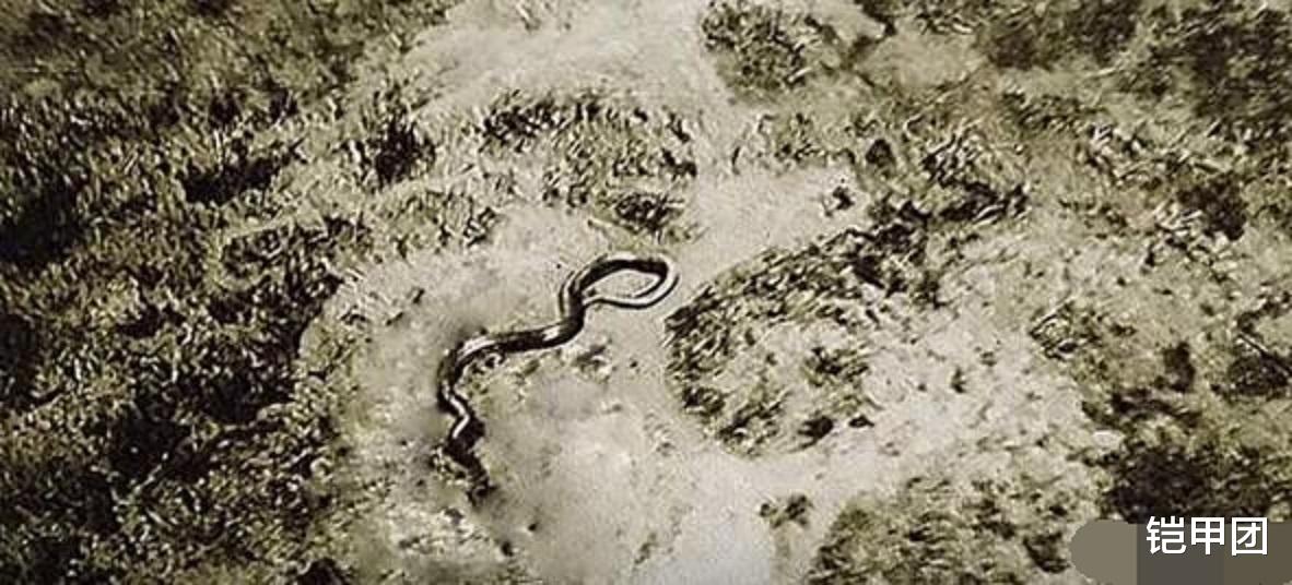 『』顶尖飞行员奇遇记:空中与巨蟒相遇,蛇头朝上竖起,真相成迷