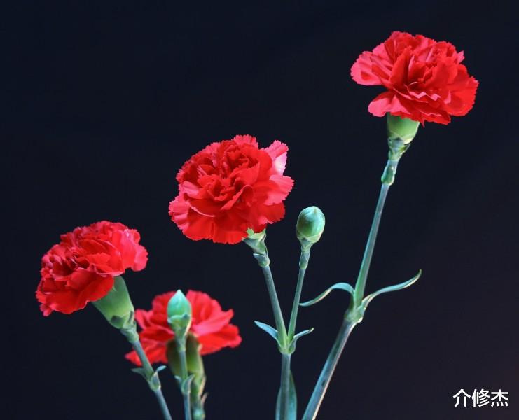 【】6月中旬，异性缘爆棚，烂桃花主动闪避，喜结良缘的四大生肖