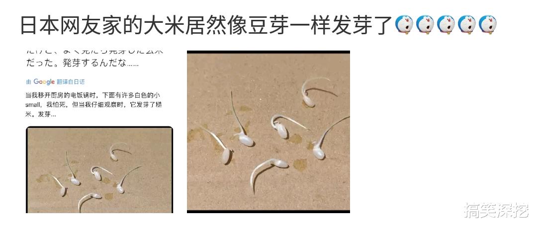 「烧烤」“头一次见，烧烤还能烤这玩意儿的...”哈哈哈奇怪的知识增长了！