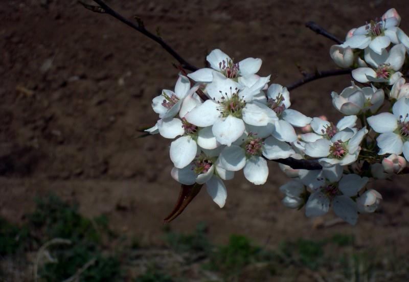 摩羯座|8月上旬起，好运好运不断，桃花兴旺，爱情美满的4大星座
