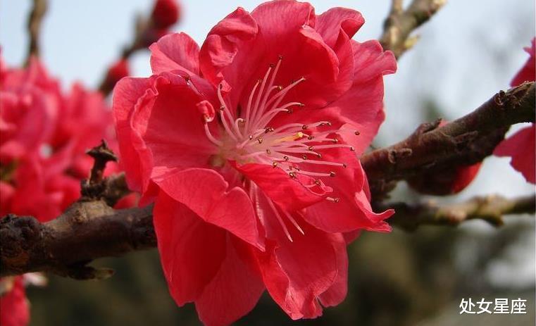 『生肖』7月初，3生肖家里传来“大喜”，贵人上门，日子“旺上加旺”