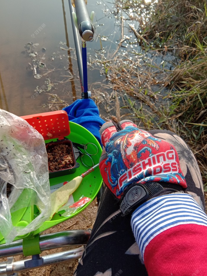 武汉|带伤上阵,电网工泛滥鱼获不佳