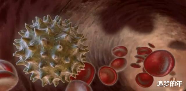 科学家：科学家发现人类进化的7大步骤, 推测出未来10万年后的人类样貌