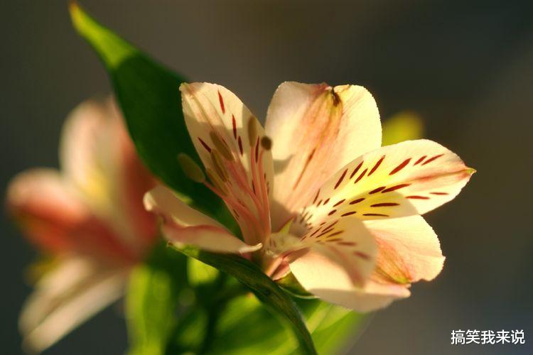 旧爱|在9月份内,姻缘回暖,感情回归,旧爱回头,破镜重圆的四大星座