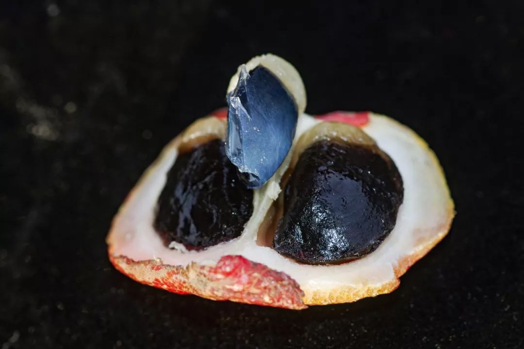 水果|一年花50万吃水果的男生：穷的时候饭都吃不起