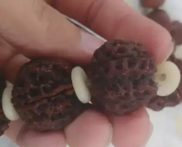 『麒麟号』文玩就是得经常盘玩，否则的话长霉都是小事，发芽可咋整？