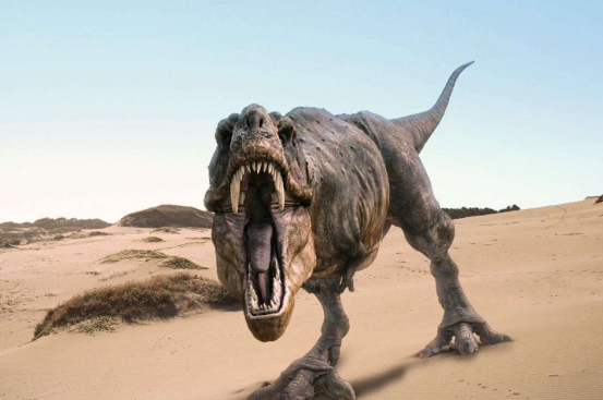 恐龙|恐龙并不因为陨石才灭绝的？科学家：有一个细思极恐的猜测