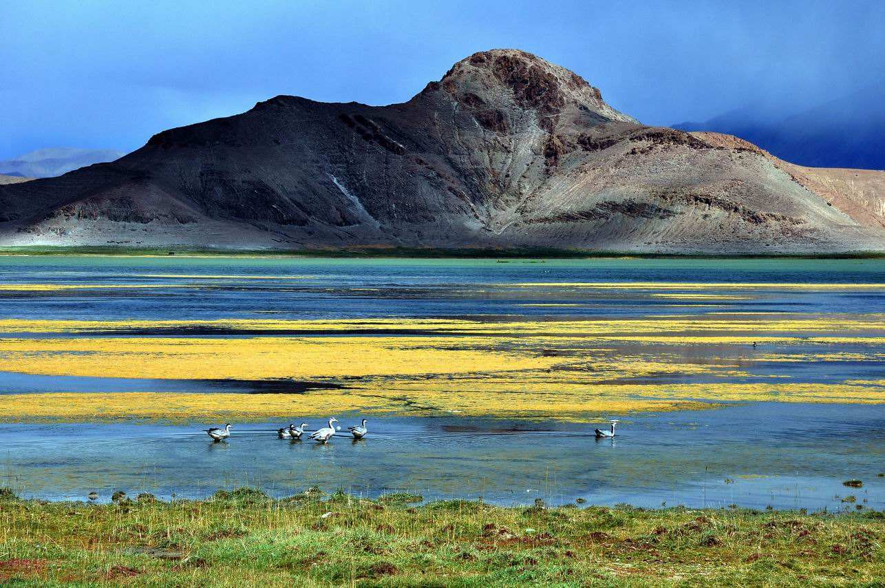 [西藏]国内不断增长的湖泊，逐年扩大100平方公里，却没有人感到高兴