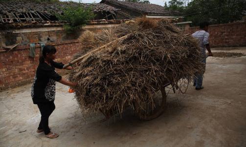 当你拥有80万在农村，将会是什么生活状态，看完后颠覆你的认知！