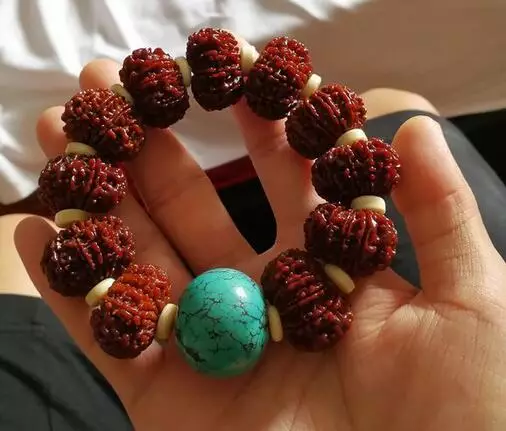 |老玩友不药之路总结:金刚菩提