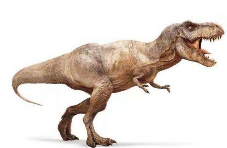 霸王龙|霸王龙的小短手是用来做什么的?科学家给出4种推测