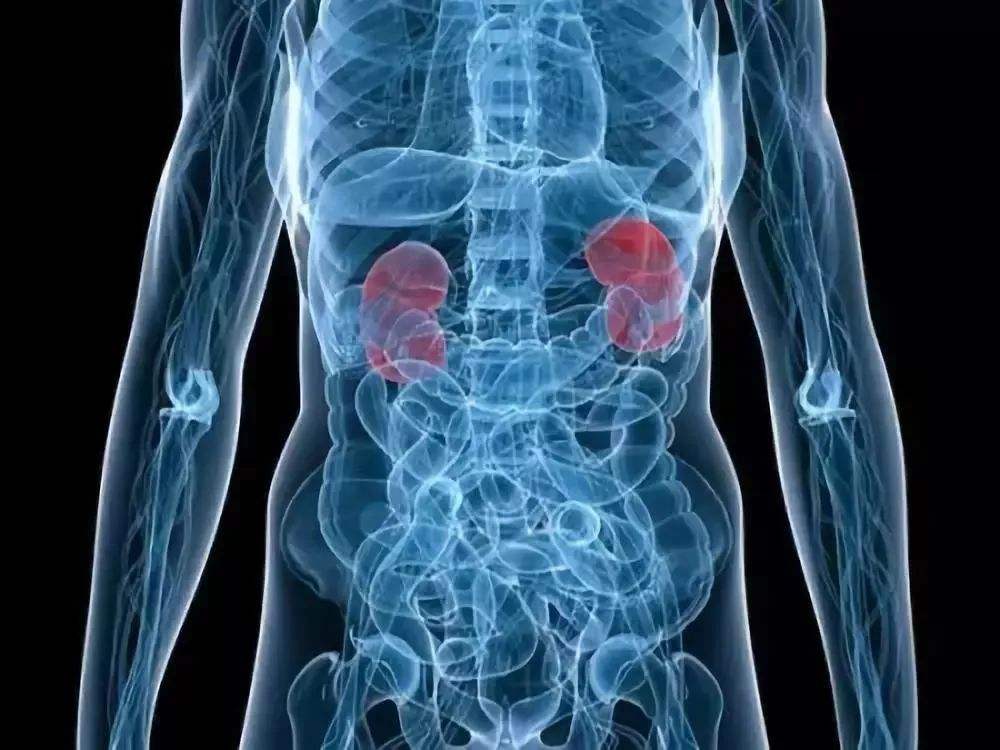 医生|被吹上天的5个“健康常识”,害惨了不少人,你若不是,那恭喜了