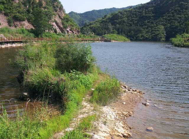 饵料|新手想学钓鱼,听听老钓鱼人总结的五条野钓经验,少走弯路