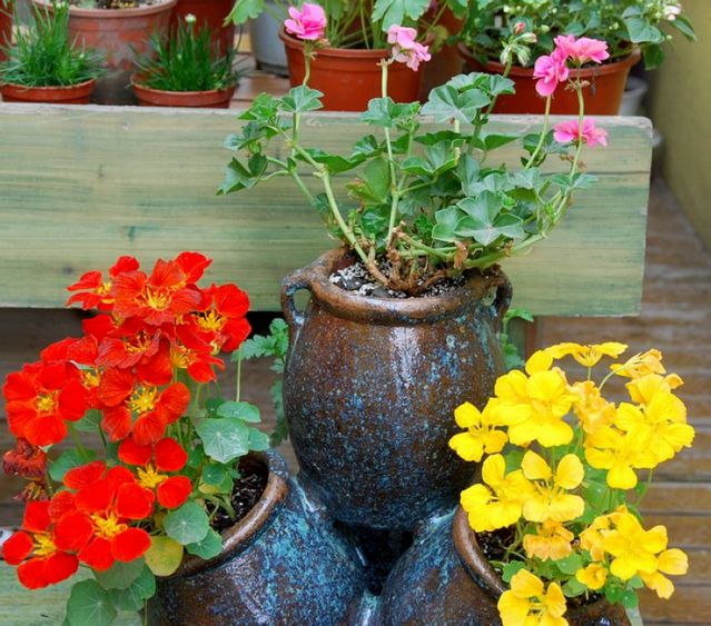 「」35㎡顶楼露台造园，不到一年，把家打造成了空中的“世外桃源”