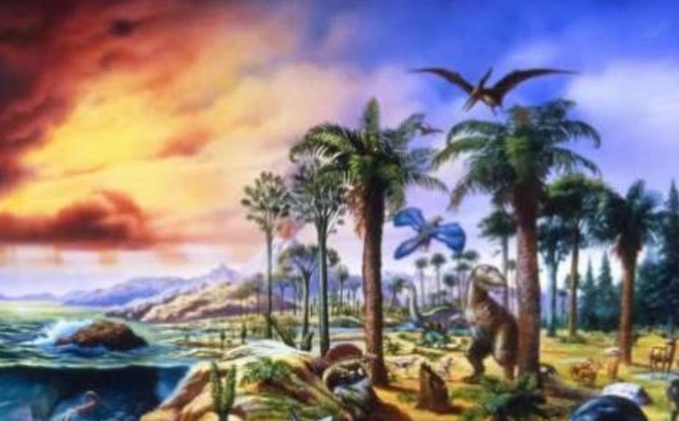 @地球上原本没有人类, 那第一个“人”从何而来? 看完瞬间涨知识了