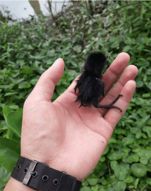 女装|“一男子为了庆祝自己的基友从部队退役回来，竟然穿上女装来迎接他”哈哈哈！