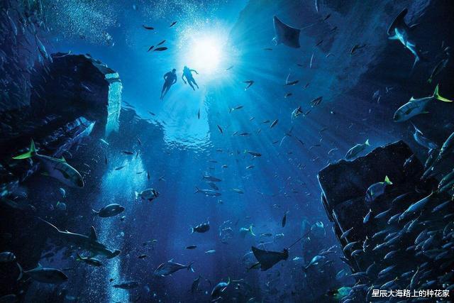 卫星|太平洋底现超大结构，直径20千米，移动650千米，真有超级文明？