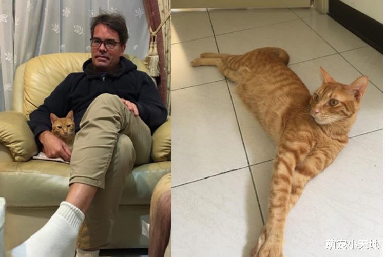 竟敢丢下我们！窗户出现2只哀怨猫咪，主人吓：只是买个东西