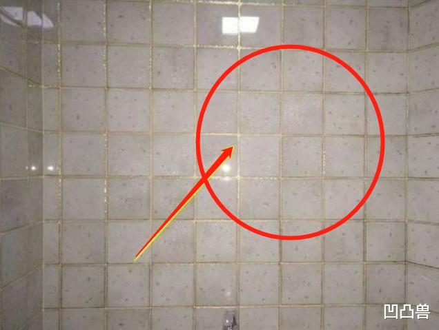 「」塞了1000大洋，老师傅才告知：这16个易错装修，行外人无一幸免