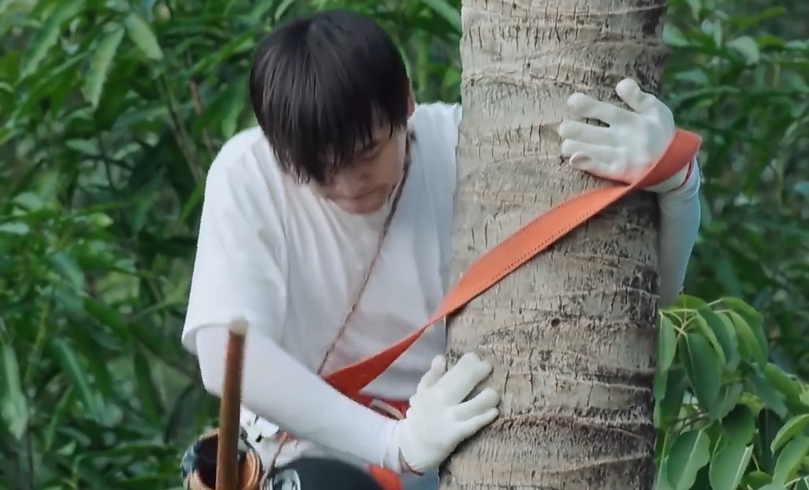 #彭昱畅#《向往4》预告出现剧透，桌上的椰子实力抢镜，彭昱畅上树成功了