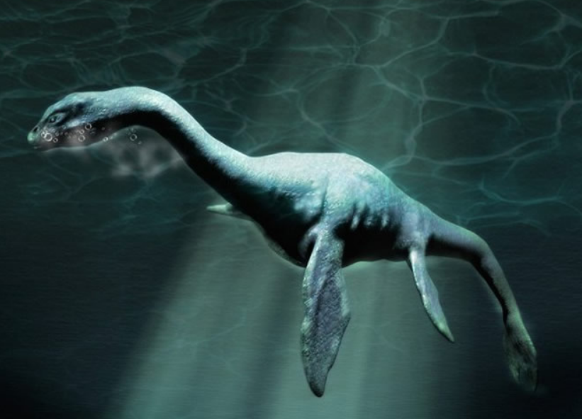 蛇颈龙|乔治亚州发现疑似“蛇颈龙”尸体,经过研究,它可能是另一种生物