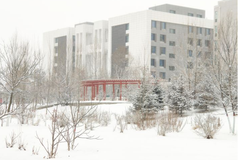 [石河子大学]宁去二本院校，也不去这3所211大学，家长：大不了复读！究竟为何