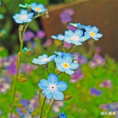 天生”享福命“的三种生肖女，早年吃苦受累，晚年很幸福