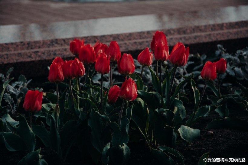 @7月财运爆棚,偏财最可观,大运临头,财运连连到的四属相