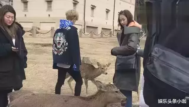 鹿晗|这对不结婚,真的很难收场…