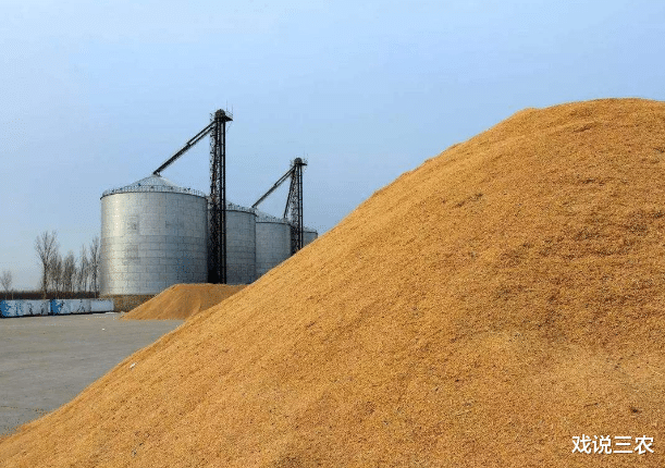 粮价|提高粮价弊大于利，遭官方“否定”？专家提醒：不提价并不是坏事
