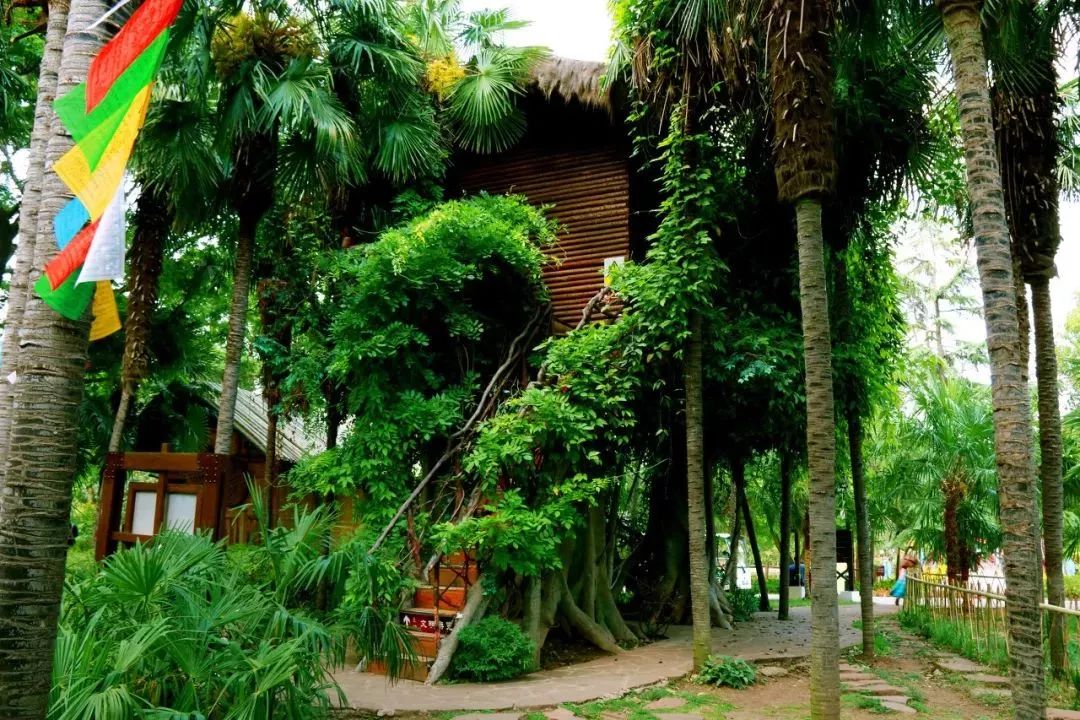 「新疆维吾尔自治区」从新疆出发，中国最长最美公路横空出世，一路顶级风光！